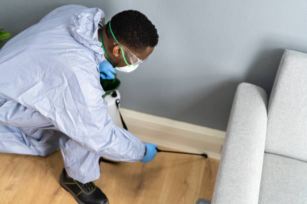 Best Fumigation Services  in Blackwells Mills, NJ